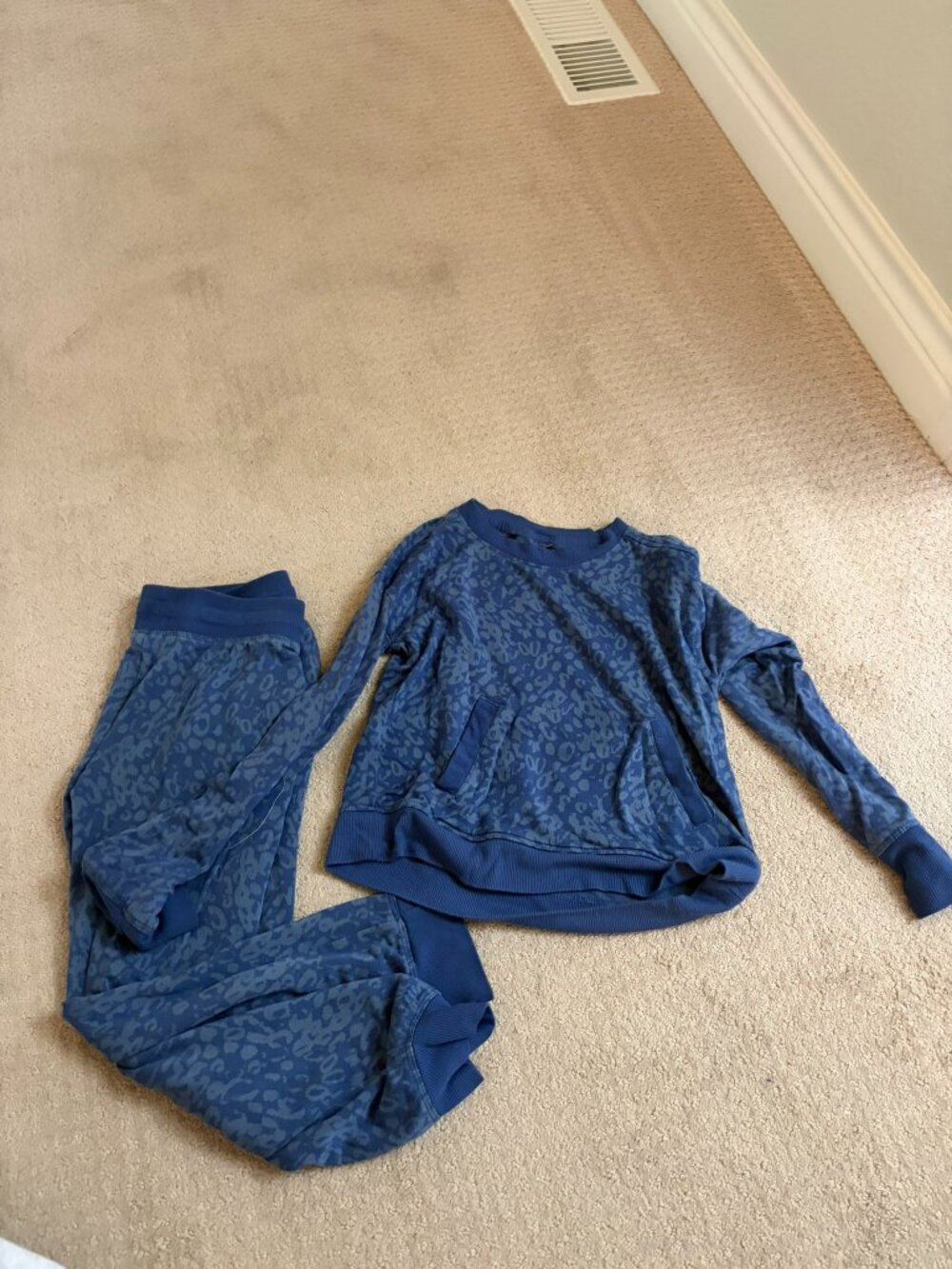 All in Motion Sweatshirt top and pants